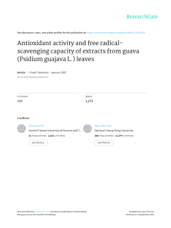 Antioxidant activity and free radical