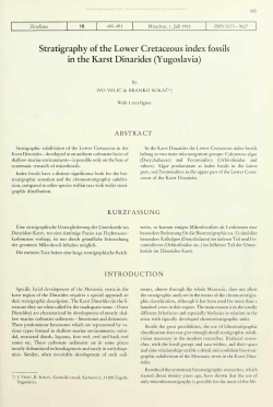 Stratigraphy of the Lower Cretaceous index fossils in the