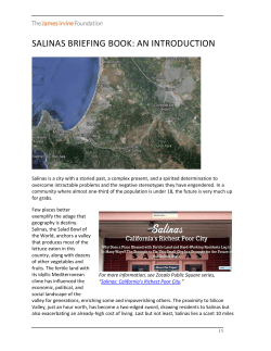 salinas briefing book: an introduction