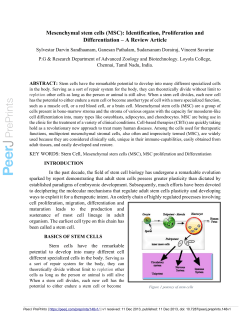 Mesenchymal stem cells (MSC): Identification, Proliferation