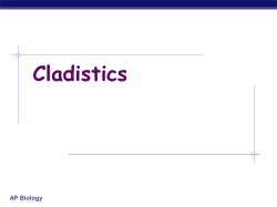 LAB Review Cladistics