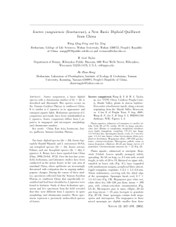 Isoetes yunguiensis (Isoetaceae), a New Basic Diploid Quillwort