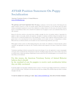 AVSAB Position Statement On Puppy