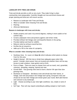 LANDSCAPE WITH TREES AND SHRUBS Trees and shrubs