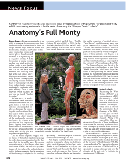 Anatomy`s Full Monty
