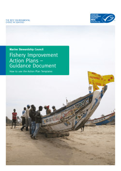 Fishery Improvement Action Plans &ndash; Guidance Document