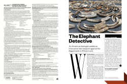 The Elephant Detective