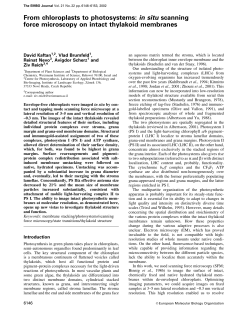 Embo Journal, 21(22) - Weizmann Institute of Science