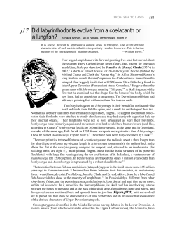j17 Did labyrinthodonts evolve from a coelacanth or - e