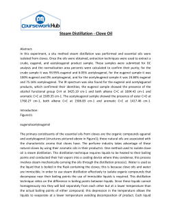 Steam Distillation - Clove Oil
