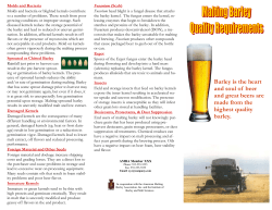 Barley is the heart and soul of beer and great beers are made from