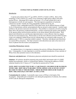 RNA isolation and RNA gel Analysis