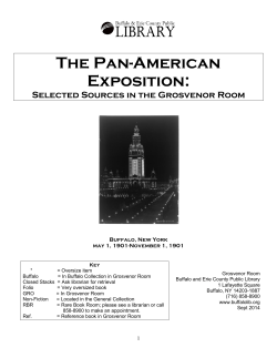 The Pan-American Exposition