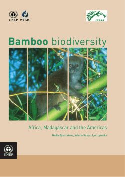 Bamboo - UNEP Document Repository Home