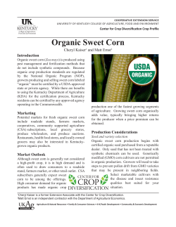 Organic Sweet Corn - University of Kentucky