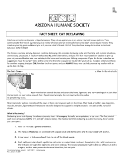 FACT SHEET: CAT DECLAWING
