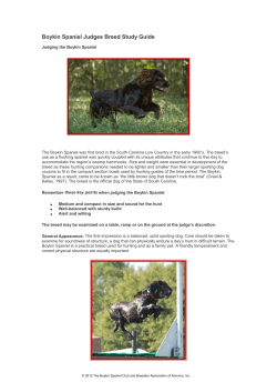 Study Guide - The Boykin Spaniel Club