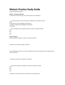 Meiosis Practice Study Guide - Easy Peasy All-in