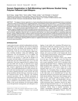 Domain Registration in Raft-Mimicking Lipid Mixtures