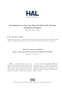 Iteradensovirus from the Monarch Butterfly, Danaus plexippus