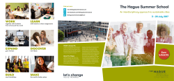 The Hague Summer School