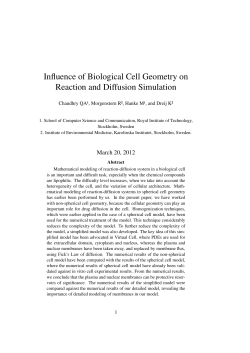 Influence of Biological Cell Geometry on Reaction and Diffusion
