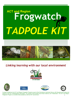 Tadpole Kit Instruction Booklet