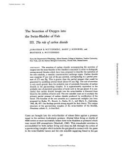 The Secretion of Oxygen into the Swim
