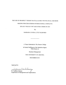 The Use of Prospect Theory in Evaluating the Political Decision