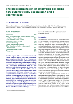 as a PDF