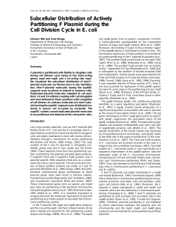 Partitioning of F plasmid