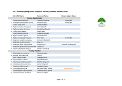 2013 Butterfly sighting list