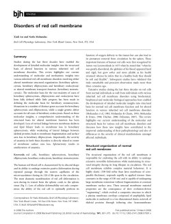 Disorders of red cell membrane