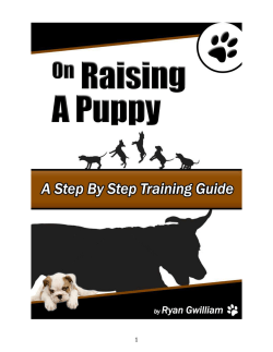 Puppy Training Guide_r2_v1