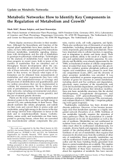 Metabolic Networks: How to Identify Key