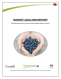 Identifying Opportunities for B.C.`s Highbush Blueberry Industry