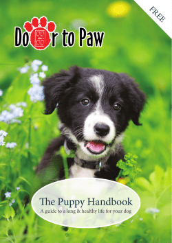 The Puppy Handbook