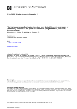 The first subterranean freshwater planarians from North Africa, with