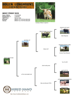 missy prissy bcb - Bolen Longhorns