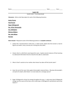 ENG 303/SL Scarlet Letter SG