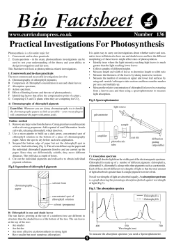 Practical Investigations For Photosynthesis