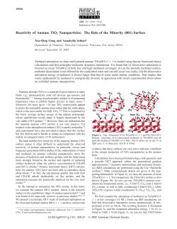 Reactivity of Anatase TiO2 Nanoparticles: The Role of the Minority