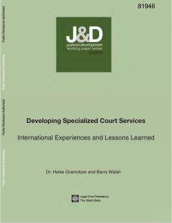 Developing Specialized Court Services