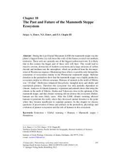 The Past and Future of the Mammoth Steppe Ecosystem