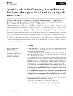 A new scenario for the Quaternary history of European beech