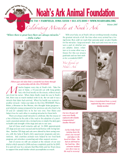 Noah`s Ark Animal Foundation