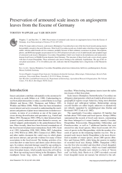 Preservation of armoured scale insects on angiosperm leaves from