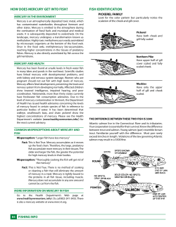 how does mercury get into fish?