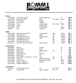 300 &euro; blau/grau 63cm 180 &euro; Gabeln Disc 80mm 300 &euro; 26&ldquo; 120mm