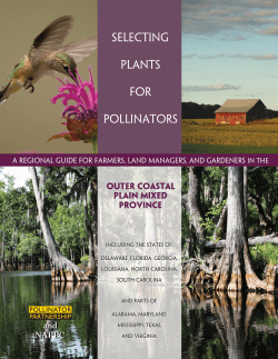 Selecting Plants for Pollinators: Outer Coastal Plain Mixed Province